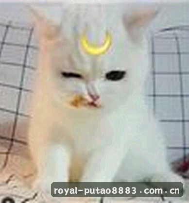 李骁